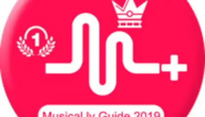 Musical.ly 2019 Guide
