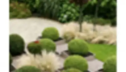 Garden Design Ideas
