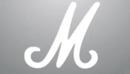 Marshall Bluetooth