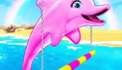 My Dolphin Show