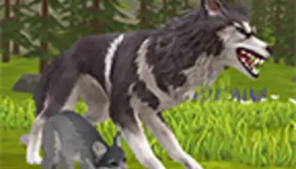WildCraft
