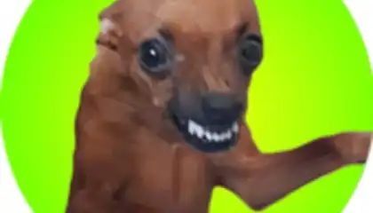 Brasil memes