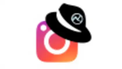 Insta-inspector