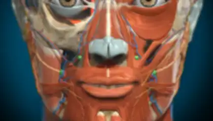 3D Anatomy Learning