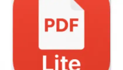 Lite Pdf