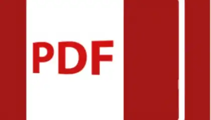 PDF Viewer
