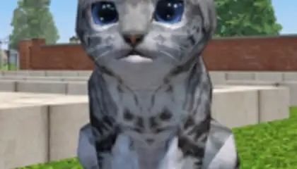 Cute Pocket Cat 3D - Part 2