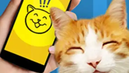 Кошачий язык