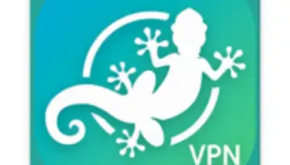 LinkVPN