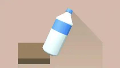 Bottle Flip 3D