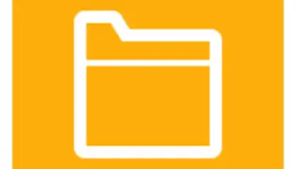 DS file