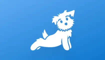 Yoga | Down Dog