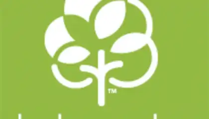 My Pregnancy Today