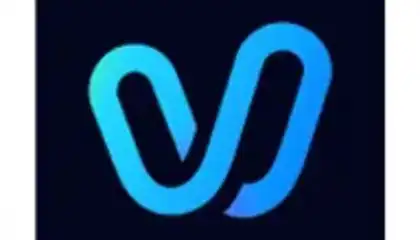 Vidu
