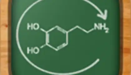 Chemistry Lab